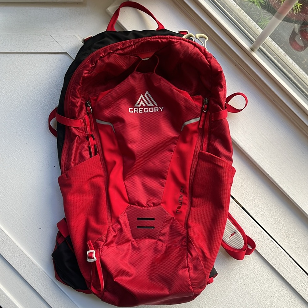 Gregory • Miwok 24 Nylon Pack in Spark Red • 24 L